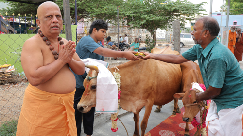 Tiruvannamalai Karthigai Deepam Annadanam